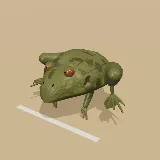 3D model of the African Bullfrog