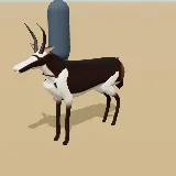 3D model of the Blesbok