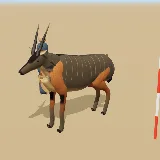 3D model of the Common Eland