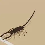 3D model of the Flat Rock Scorpion