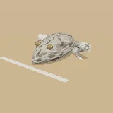 3D model of the Grey Foam-nest Tree Frog