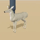 3D model of the Grey Rhebok