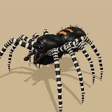 3D model of the Treleaven's Jumping Spider