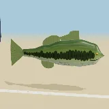 3D model of the Largemouth Bass
