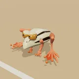 3D model of the Painted Reed Frog