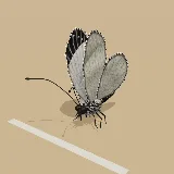 3D model of the Pioneer White