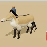 3D model of the Przewalski's Horse