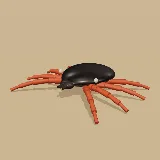 3D model of the Red-legged Tick