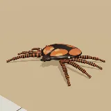 3D model of the Rhinoceros Tick
