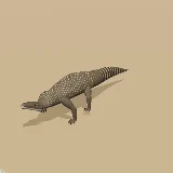 3D model of the Rock Monitor