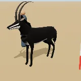 3D model of the Sable Antelope