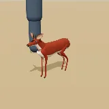 3D model of the Steenbok