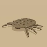 3D model of the Warthog Tampan