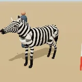 3D model of the Burchell's Zebra