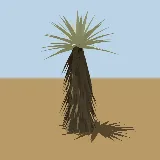 3D model of the Mountain aloe