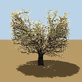 3D model of the Blue guarri