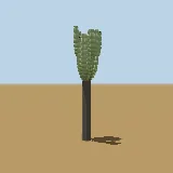 3D model of the Bushveld candelabra tree
