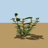3D model of the Gifblaar