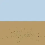 3D model of the Couch grass
