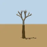 3D model of the Quiver tree
