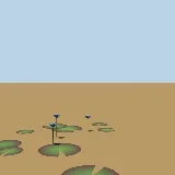 3D model of the Blue waterlily